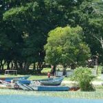 ssese islands