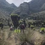 images-3