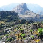 Rwenzori mountains