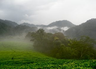 agro-tourism