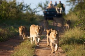 Southern Africa tourism