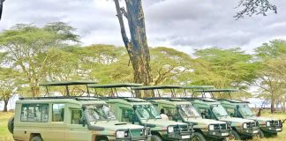 Best cars for safari travels