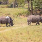 kidepo valley national park