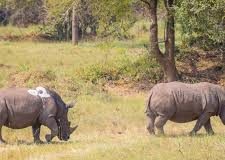kidepo valley national park