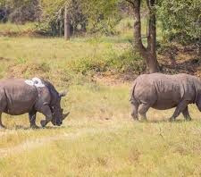 kidepo valley national park