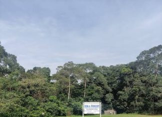 Zika Forest in Uganda Ziika forest