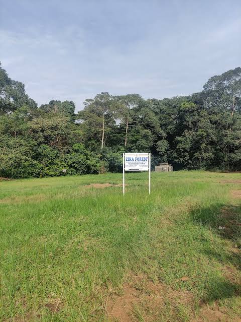 Ziika forest